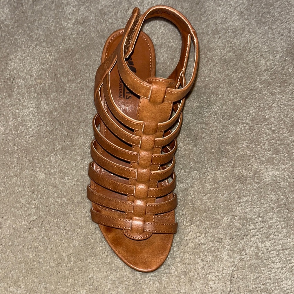 Maybe worn once, super adorable brown wedges!